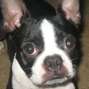 Meet your Posher, Christina